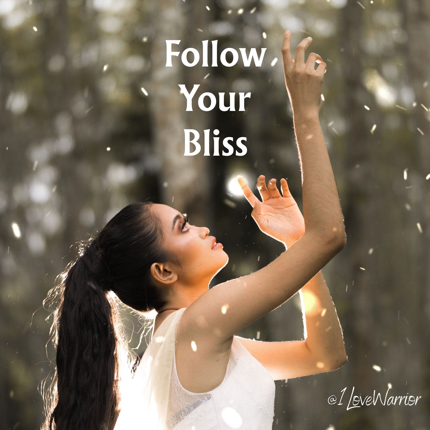 The Soul Has You: Awakening to Higher Consciousness