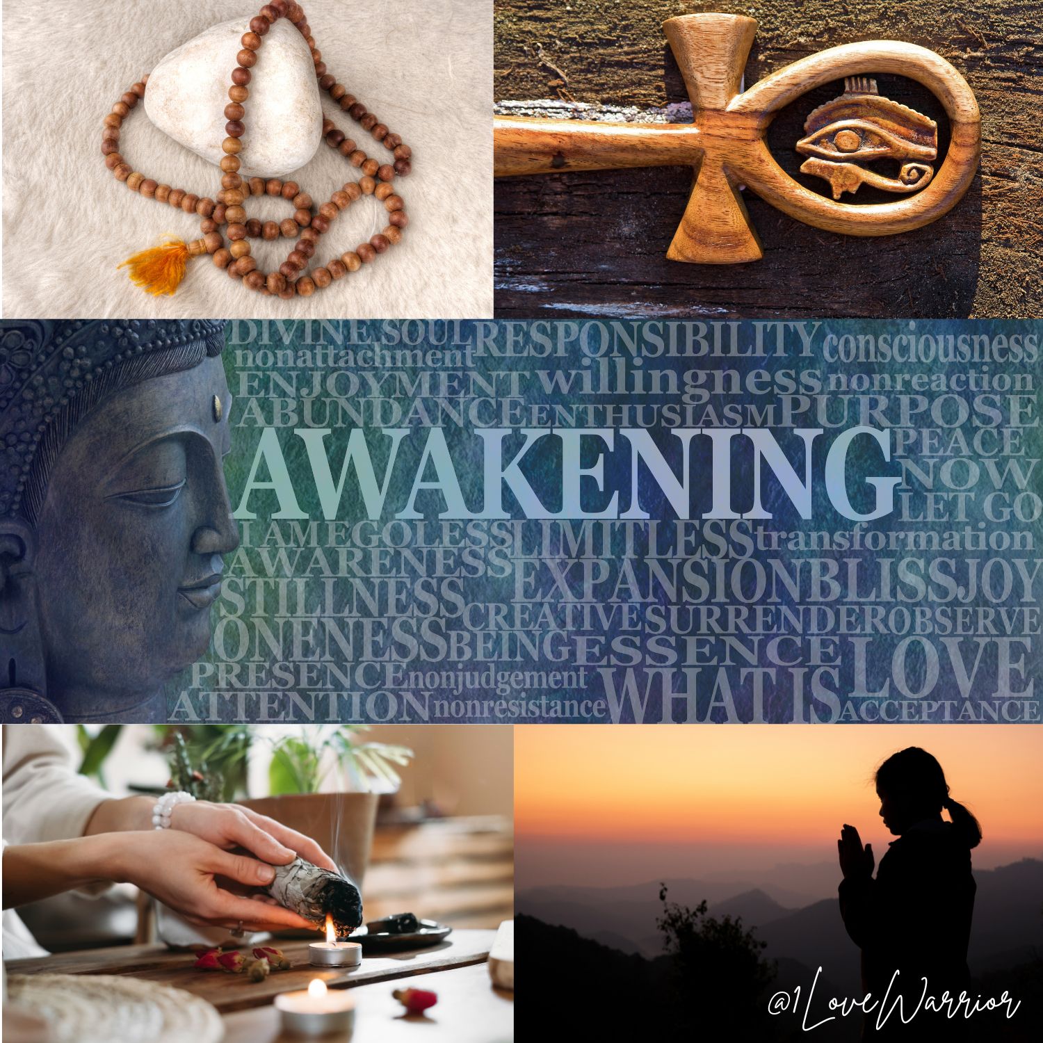 Beyond the Human Condition: Walking the Path of Higher Awareness